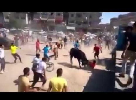��� ���� ��������