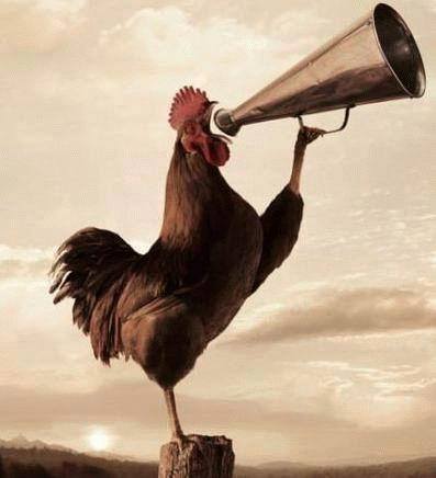 ����� ����� ������� 