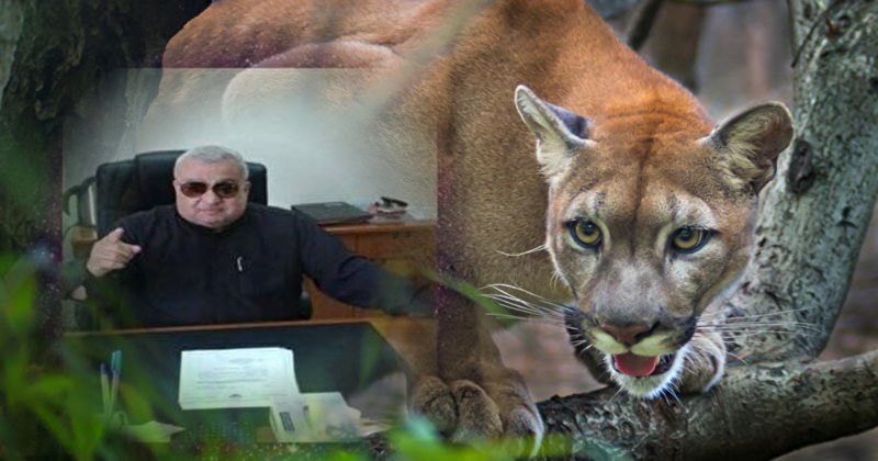 ������ �������