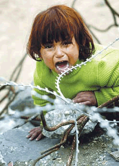 �� �� �� ���� ���� ���