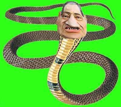 ������ �������