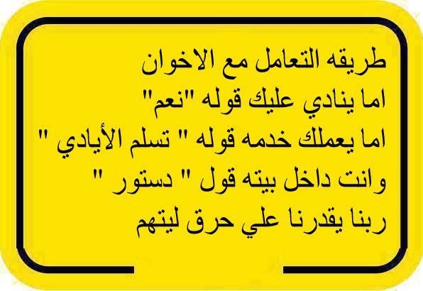 ���� ����� ���� ����� ������ �����